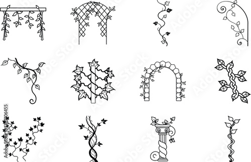 Ornamental Vines, Trellises, Arbors, and Garden Design Elements