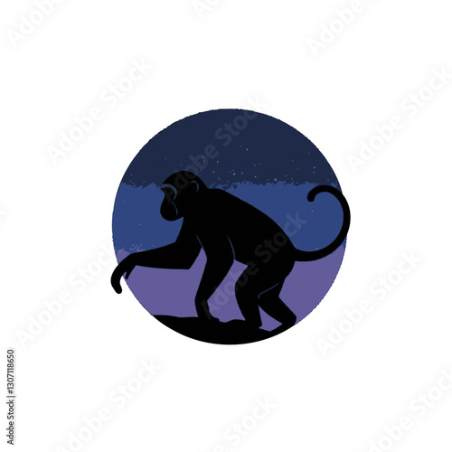Midnight Monkey