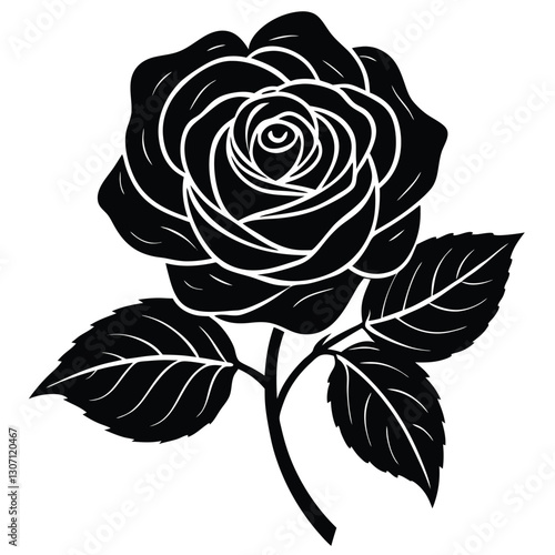 black rose vector illustration