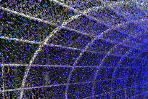 Wallpaper Mural Purple colorful abstract light art decoration. Festival light decoration for celebration outdoor. Glowing decorative tunnel. Beautiful tunel line Lighting illumination and decoration for festival. Torontodigital.ca