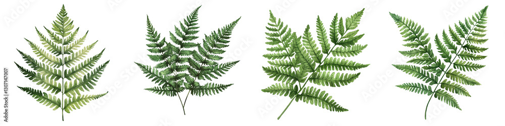 Vibrant lush fern leaves in a verdant green natural background view of thriving flourishing foliage and fronds image perfect for nature ecology botany or environmental concepts Vibrant lush fern leaves in a verdant green natural background view of thriving flourishing foliage and fronds image perfect for nature ecology botany or environmental concepts