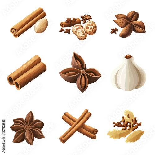 Cinnamon sticks, nutmeg, star anise, clove and garlic spice illustration