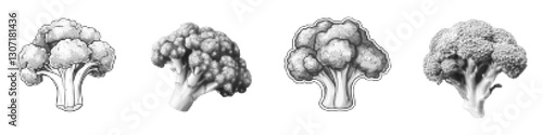 Vector and illustration of stylized broccoli heads in a detailed design