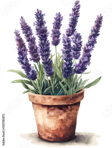 Watercolor painting of lavender flowers in terracotta pot