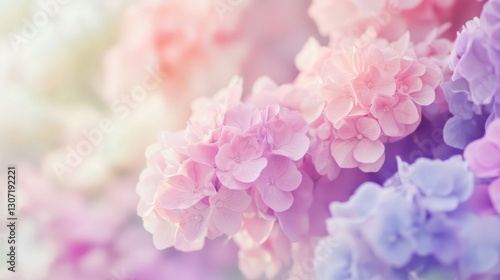 Soft pastel gradient with light pink and purple hues, blending gently, creating a dreamy and calming aesthetic