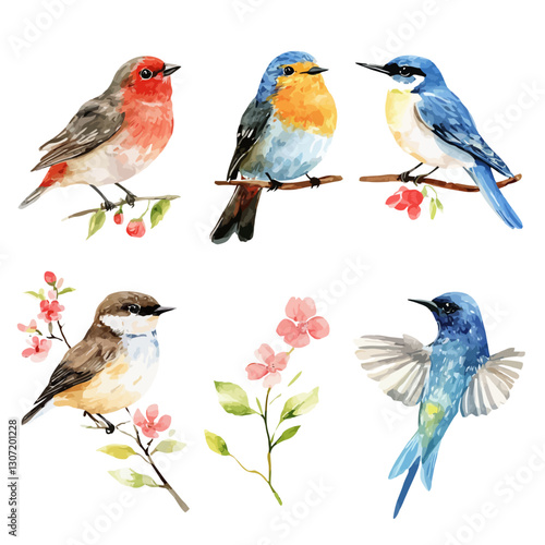 Watercolor Painting of Red Robin, Bluebird, and Swallow Bird Illustration