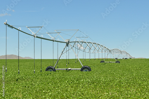 Wallpaper Mural Water Irrigation of soy Torontodigital.ca