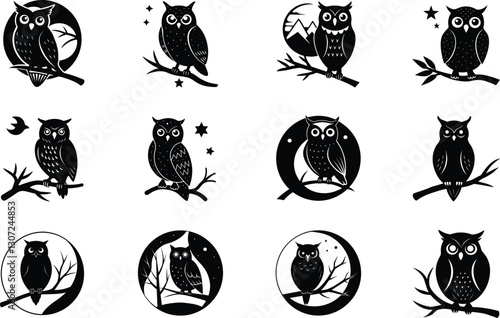 Twelve Monochrome Owl Illustrations Branches, Moon, Stars, Night
