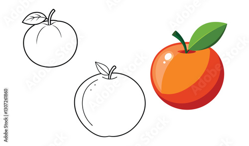 Coloring pages line art Orange vector illustration set