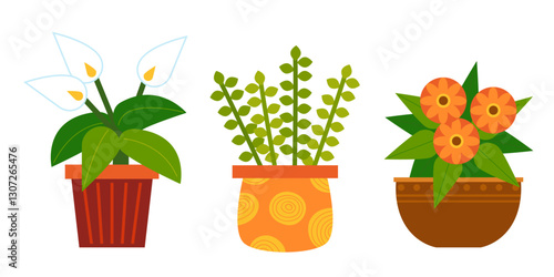 Set of cartoon houseplants in a pots. Vector flowers Peace Lily, Gerbera and Portulacaria afra
