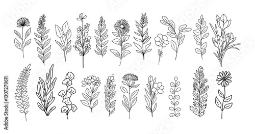 Set of tiny wild flowers and plants line art botanical illustrations. Trendy greenery hand drawn black ink sketches collection. Vector design elements isolated
