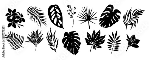 Set of black silhouettes of tropical leaves and flowers. Monstera, palm, banana leaves, Plumeria flower. Exotic botanical elements. Vector Black outline illustrations isolated