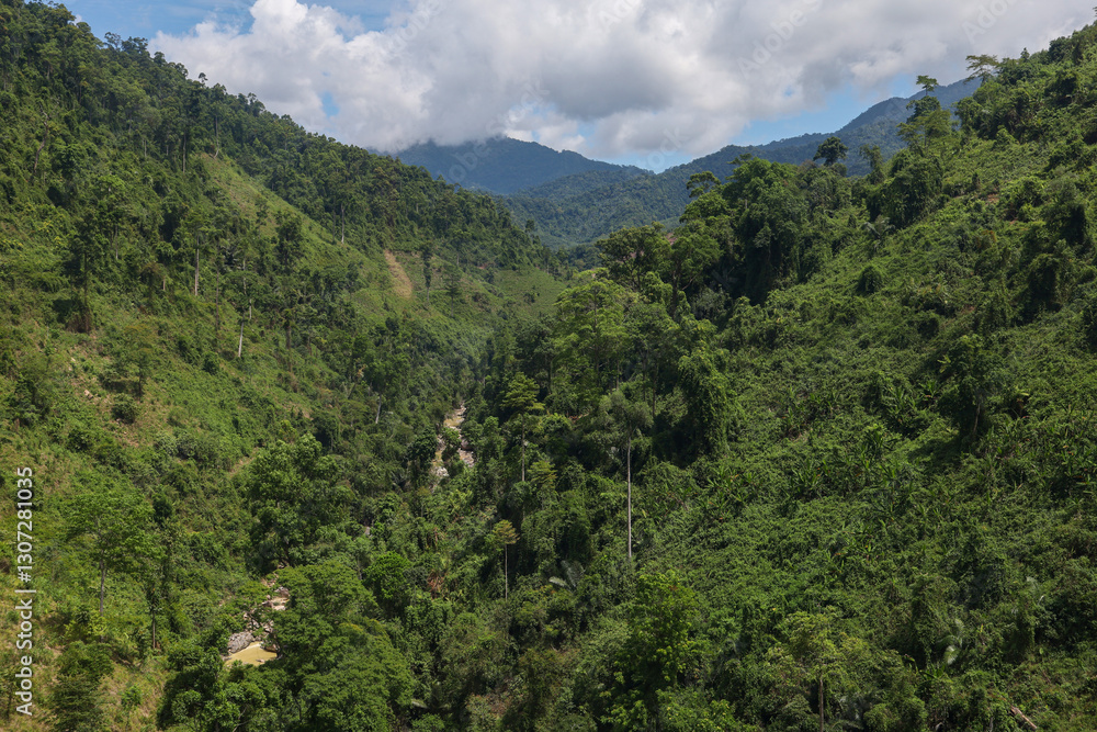 the tree mountain view before from banahill cable car the tree mountain view before from banahill cable car