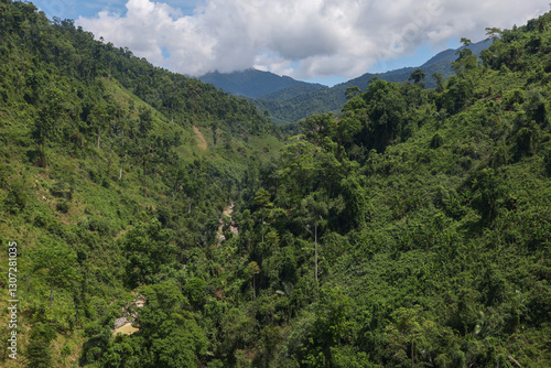 the tree mountain view before from banahill cable car