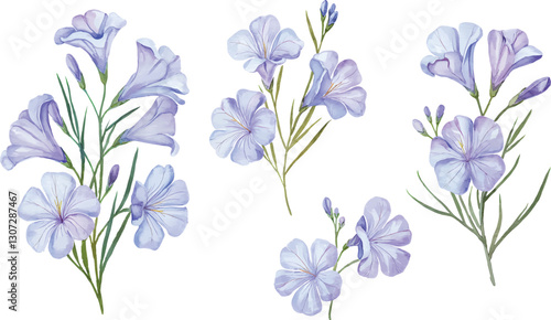 Blue watercolor Flax Flower, isolated on white background