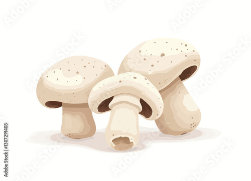 Cluster of Three Pale Champignon Mushrooms on White