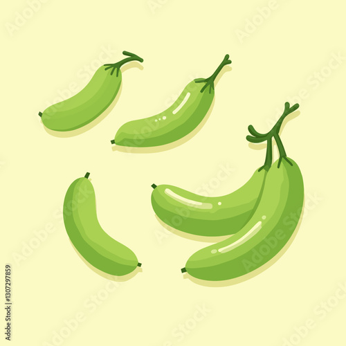 Stylized green zucchini squash, vector illustration