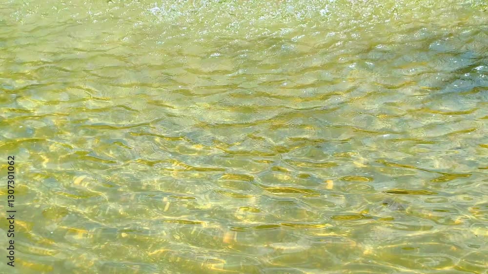 Fontaine de ville, source de fraîcheur, détente et relaxation pendant l’été.