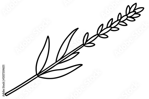Lavender Stem Outline for Aromatherapy Design

