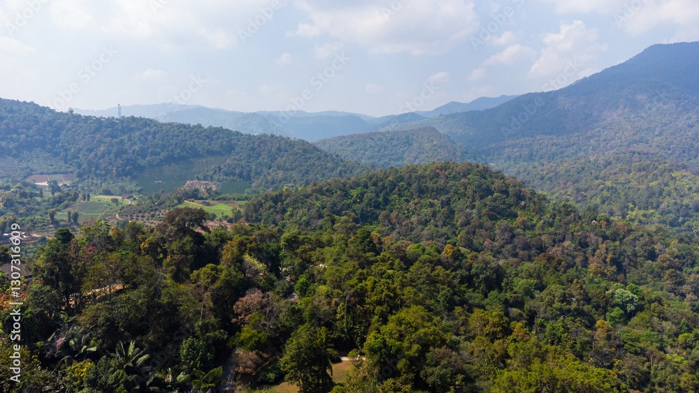 Lush Tropical Forest Covering Rolling Hills in Southeast Asia Lush Tropical Forest Covering Rolling Hills in Southeast Asia