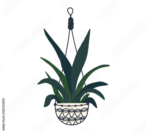 Hanging trailing macrame house plant pot. Home interior flowerpot. Indoor various macrame houseplant. Home office garden hanging plant. Vector flat illustration