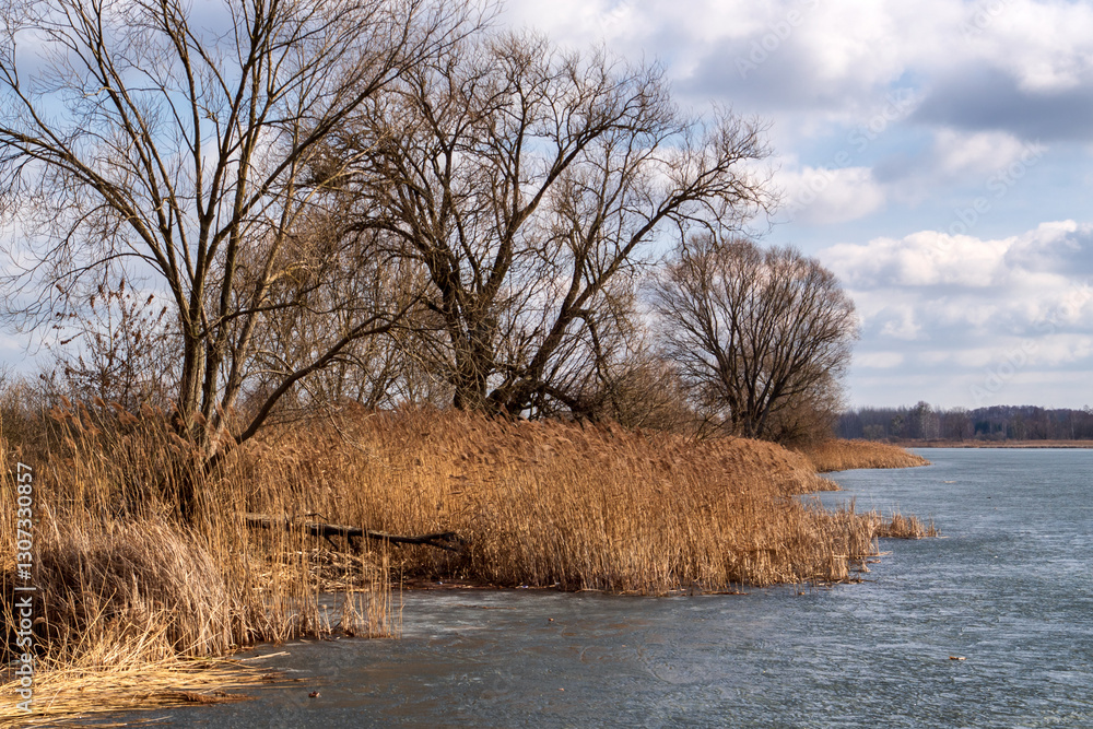 Przedwiośnie nad Stawami Dojlidzkimi,Podlasie, Polska