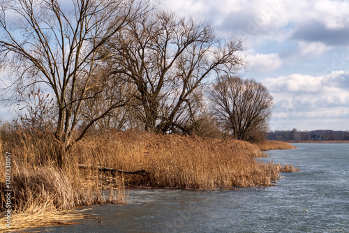 Obraz na płótnie Przedwiośnie nad Stawami Dojlidzkimi,Podlasie, Polska w salonie