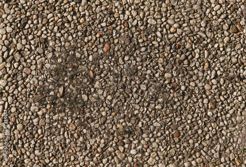 Old Overgrown Stone Garden Tile.