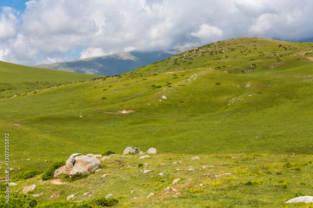 Fototapeta premium Tianshan Mountains in Kyrgyzstan