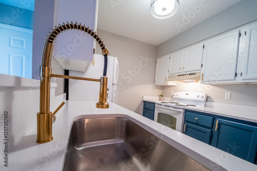  modern basin kitchen sink with gold fixtures