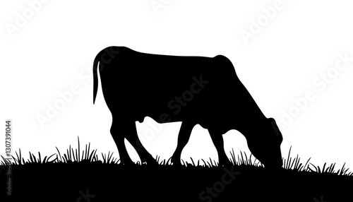 Silhouette of a cow grazing on grassy hill