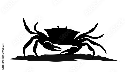 Silhouette crab on sandy beach