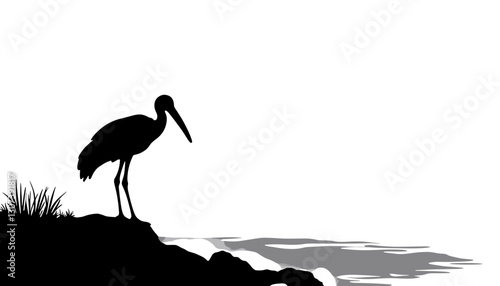 Silhouette of a heron by the water's edge