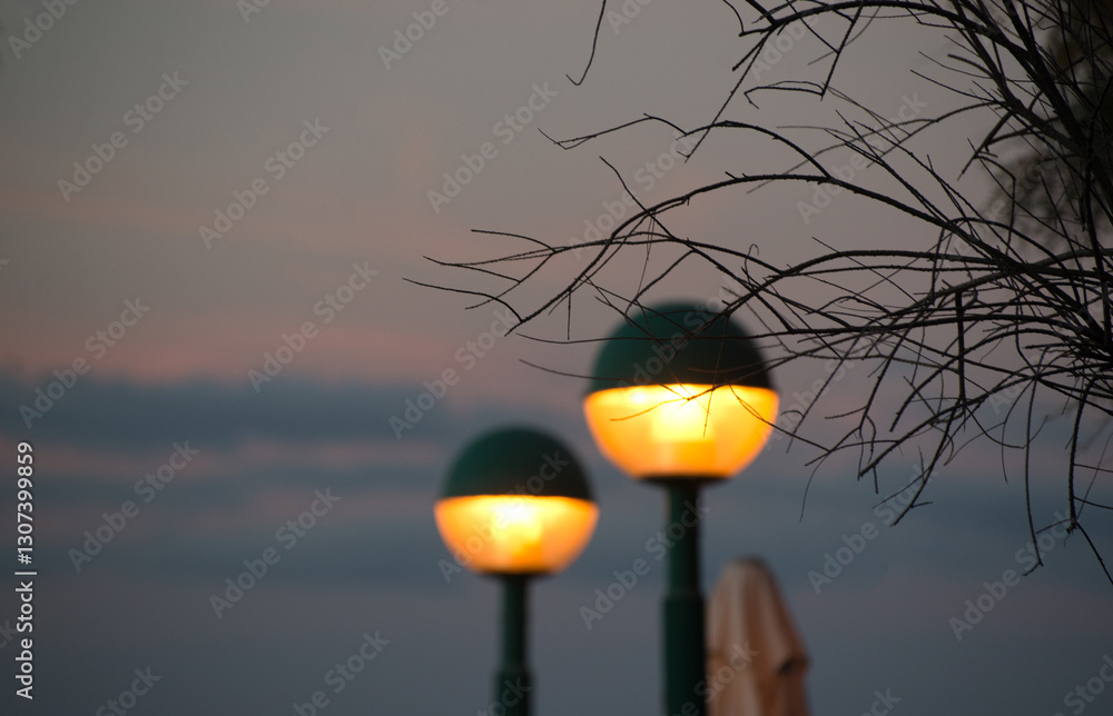 Tree branches against the background of yellow evening lanterns Tree branches against the background of yellow evening lanterns