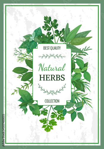 Herbal frame. Natural herbs, best quality label. emblem design. Organic rosemary and oregano. Culinary and cooking elements. Green leaves condiment. Cartoon flat isolated vector illustration