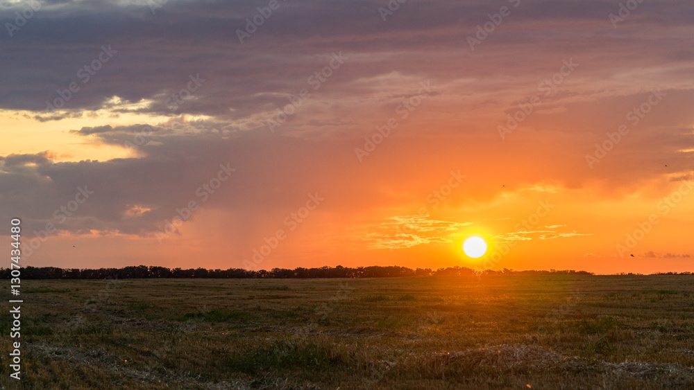 Fototapeta premium Beautiful Sunrise over the field.Summer evening in Blagoveshenskaya. Anapa, Russia.