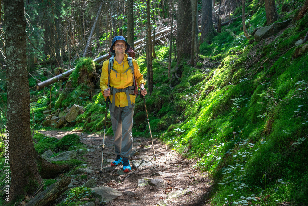 Obraz premium Mountaineer man trekking through a lush forest trail on a sunny day, enjoying nature and outdoor adventure in the mountains.