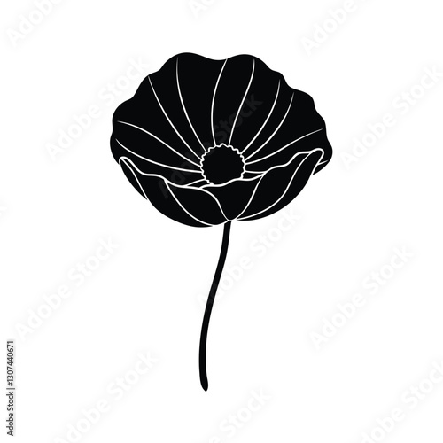 vector poppy flower vector illustration