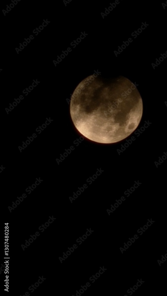 Fototapeta premium full moon over black