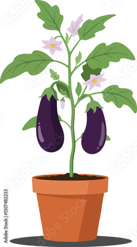 A vibrant eggplant plant with purple fruit and delicate flowers in a terracotta pot, featuring a minimal design style, perfect for vector art
