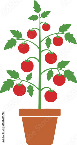 A vibrant tomato plant in a brown pot, featuring red fruit and green leaves, depicted in a minimal flat design style, showcasing freshness and vitality, vector illustration