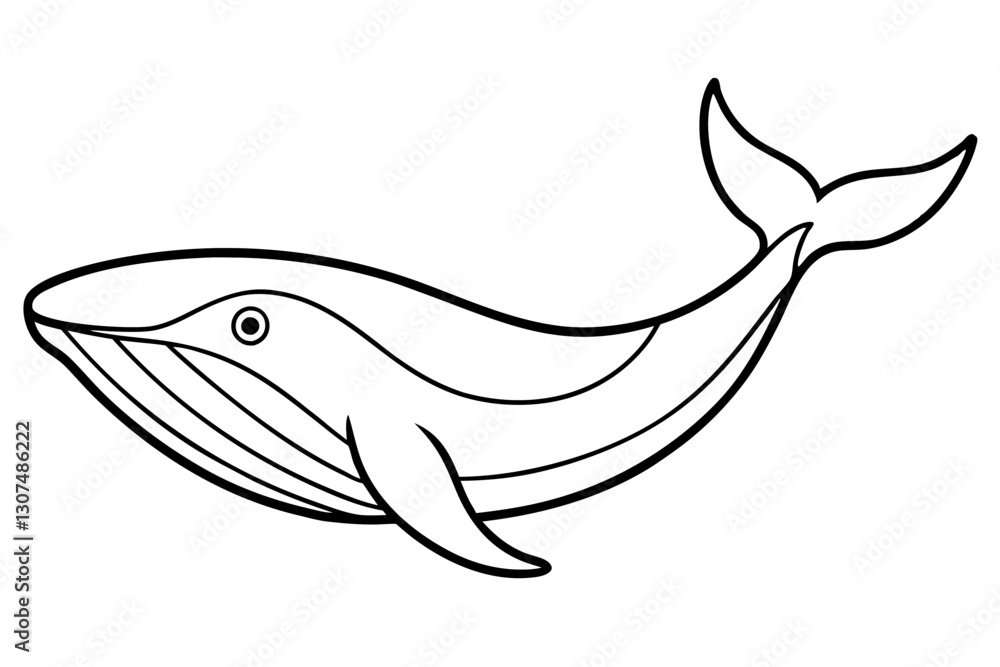 Minimalist Whale Line Art Vector – Ocean Conservation Illustration
Minimalist Whale Line Art Vector – Ocean Conservation Illustration
