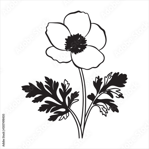 Wallpaper Mural Anemone Flower – Symbol of Elegance and Beauty Torontodigital.ca