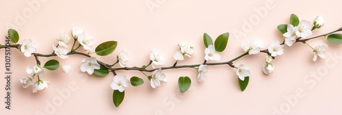 Delicate Spring Blossoms on Pastel Background photo