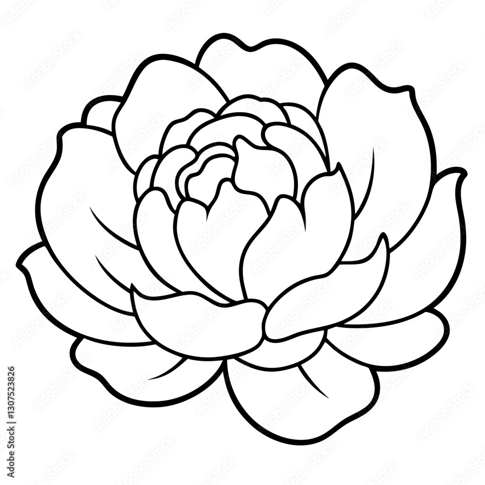vector illustration of lotus flower vector illustration of lotus flower