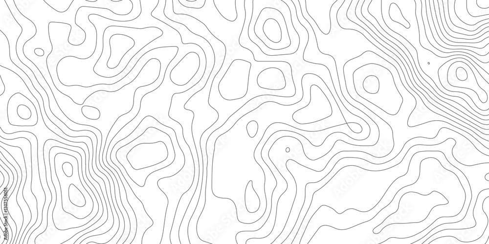 Fototapeta premium Abstract Topographic Contour Map Pattern Minimalist Geometric Background