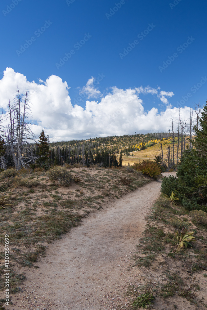 South Rim Trail at Cedar Breaks National Monument, Utah South Rim Trail at Cedar Breaks National Monument, Utah
