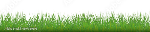 Vector bright green grass pattern, lawn texture isolated on white background