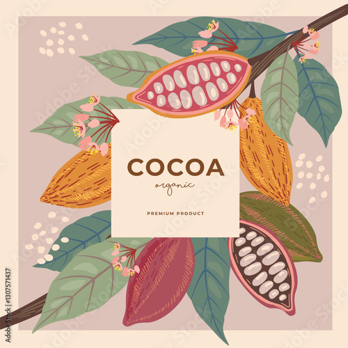 Cocoa bean illustration. Vintage style design template. chocolate cocoa beans. Vector illustration