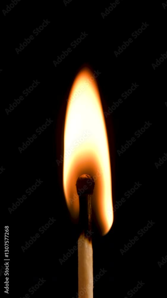Vertical video of Matchstick burning in darkness, close up flame, fire ignition, heat energy, glowing light, wooden match, combustion, black background, minimalistic, warmth. Vertical video of Matchstick burning in darkness, close up flame, fire ignition, heat energy, glowing light, wooden match, combustion, black background, minimalistic, warmth.
